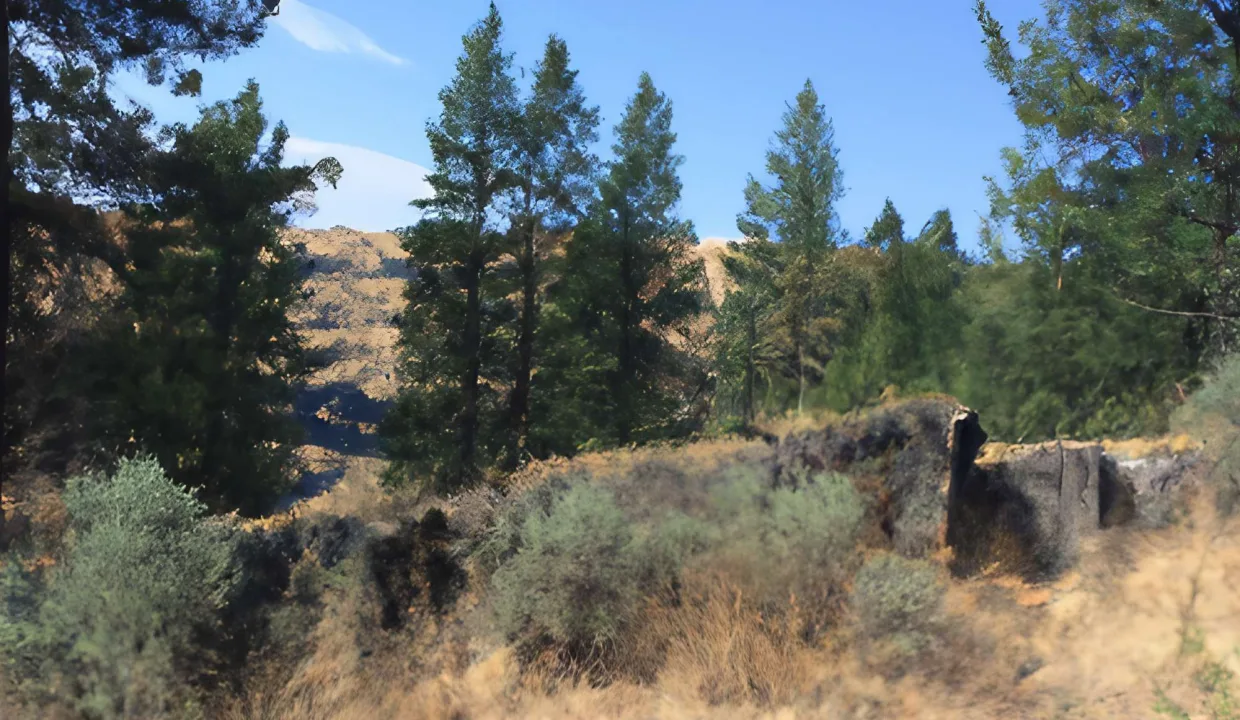 Uncover the Benefits of Buying Raw Land in Klamath County, OR
