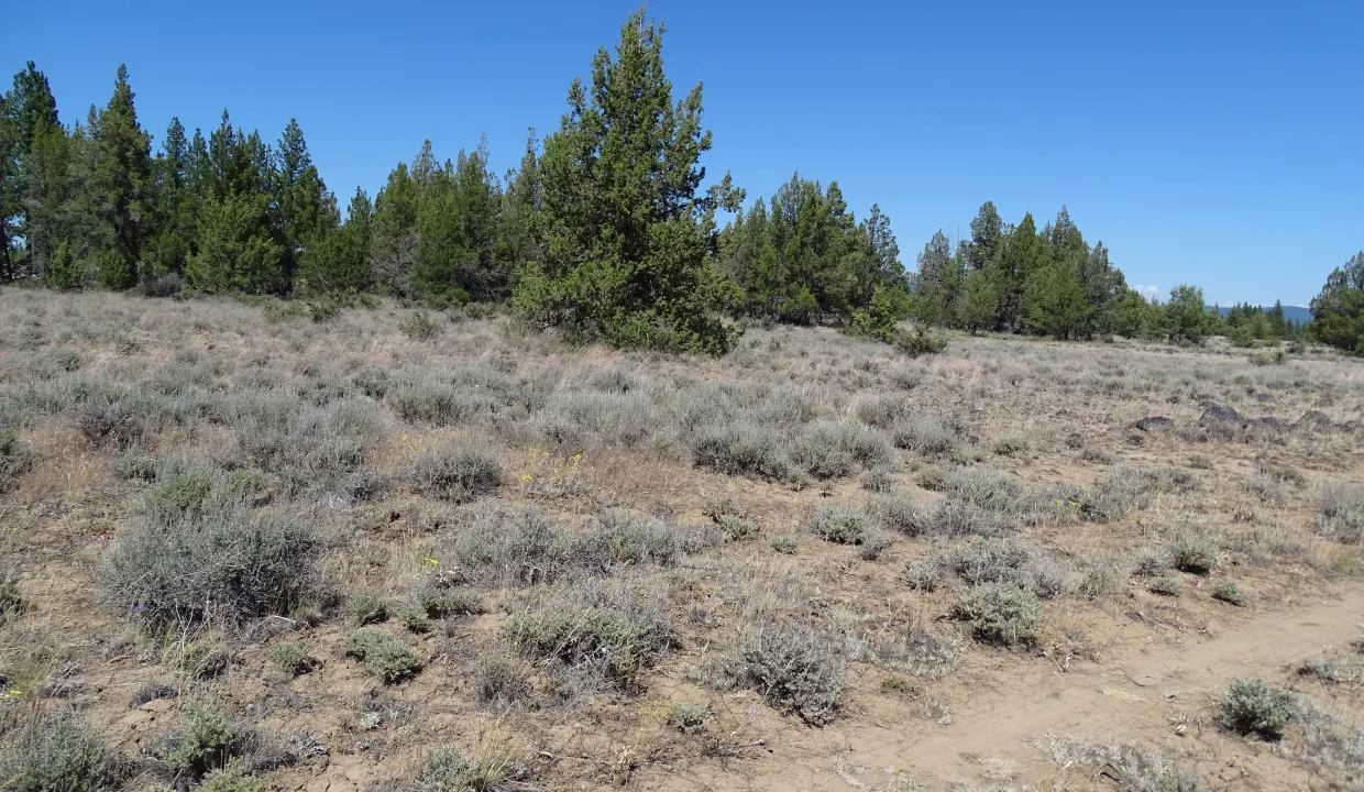 20081-283696- 1.55 Acres-1