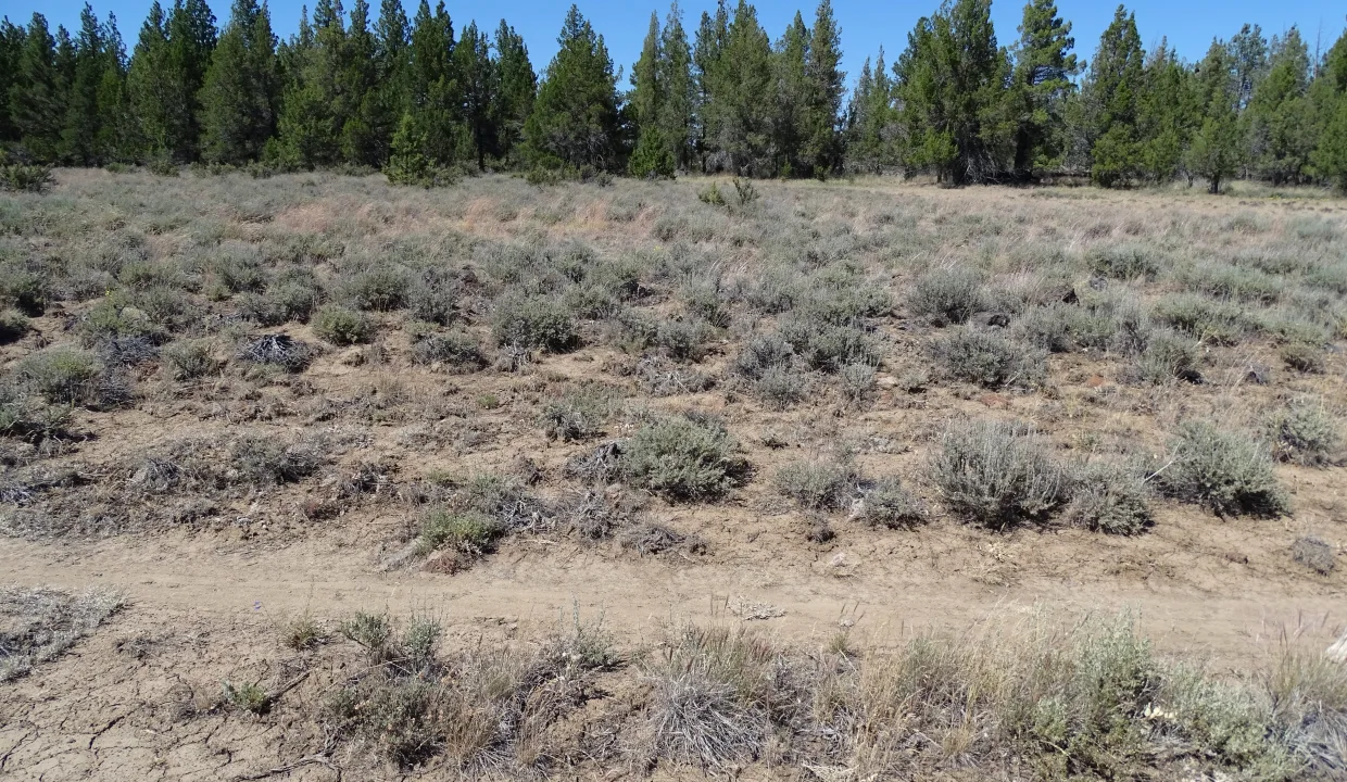 20081-283696- 1.55 Acres-2