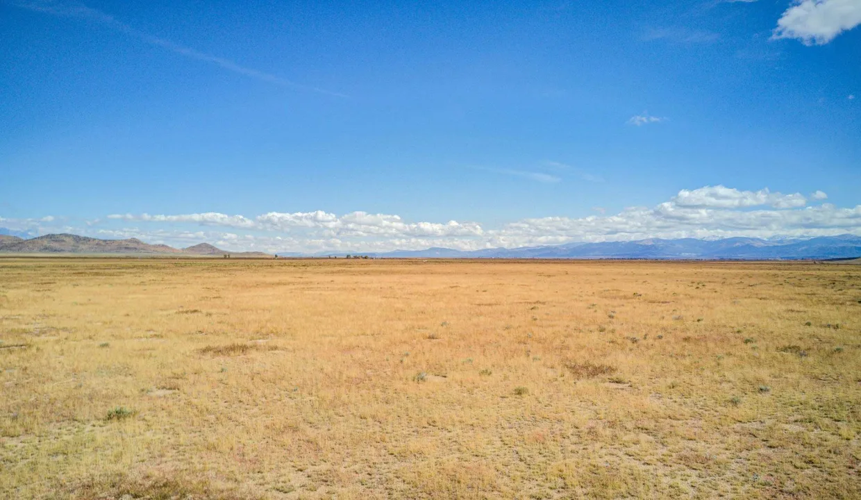 DJI_0110_1_2
