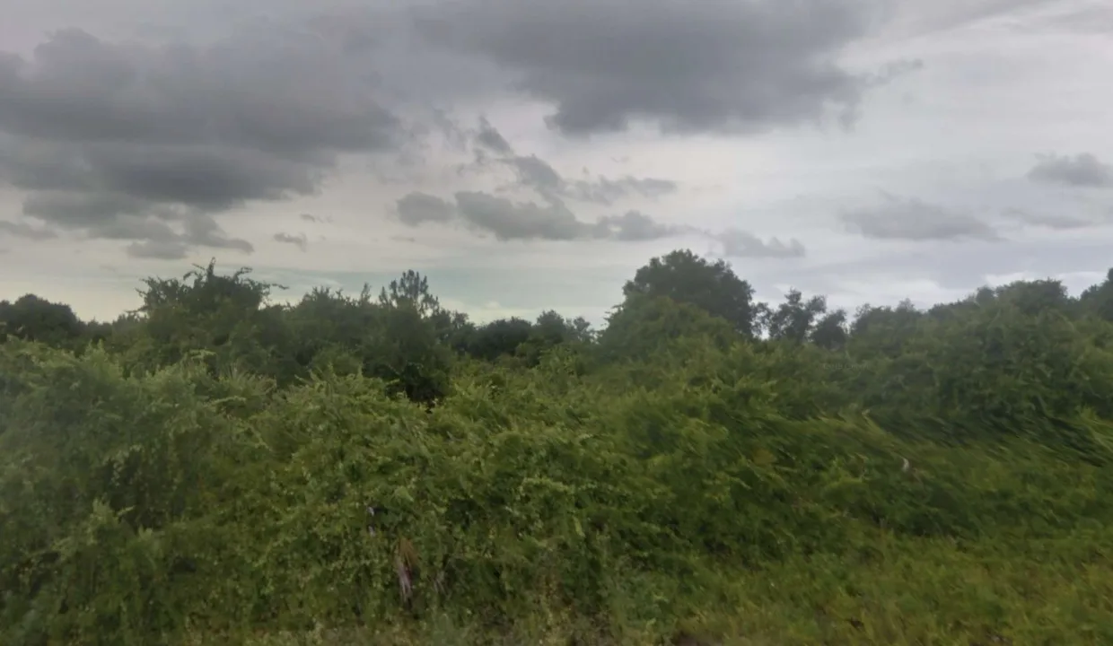 area image 1
