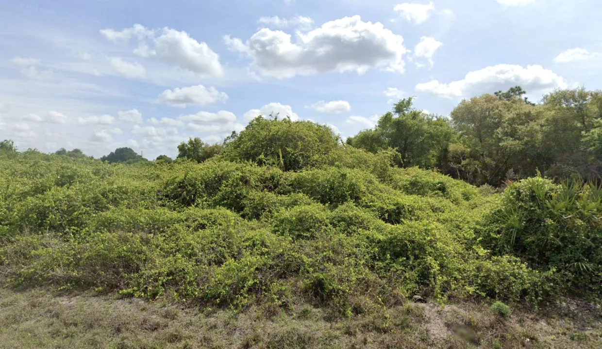 area image 2