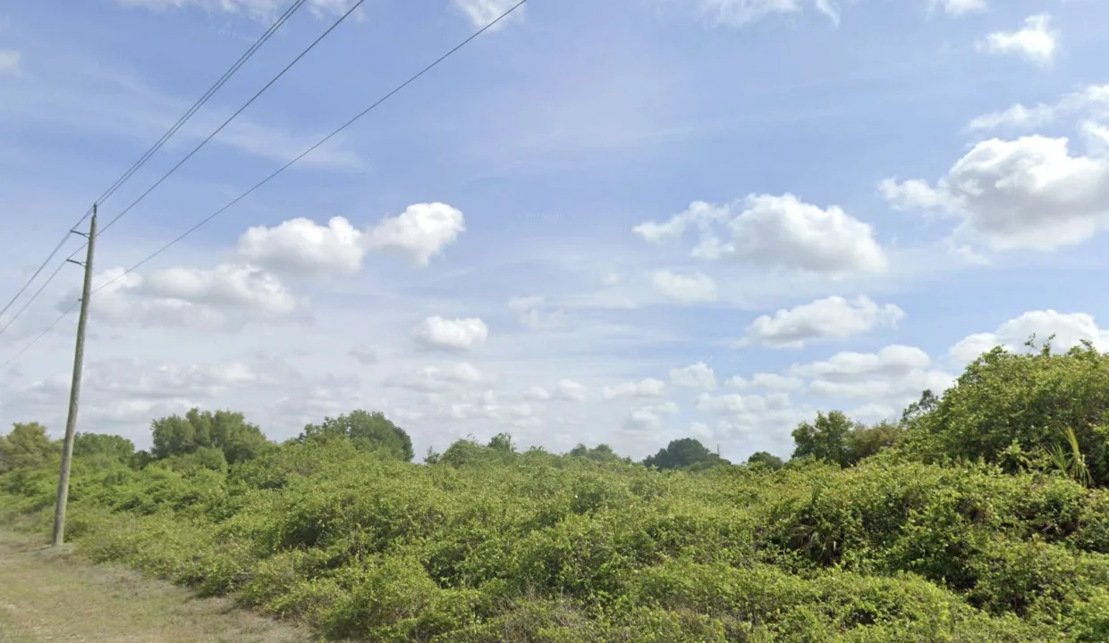 area image 3