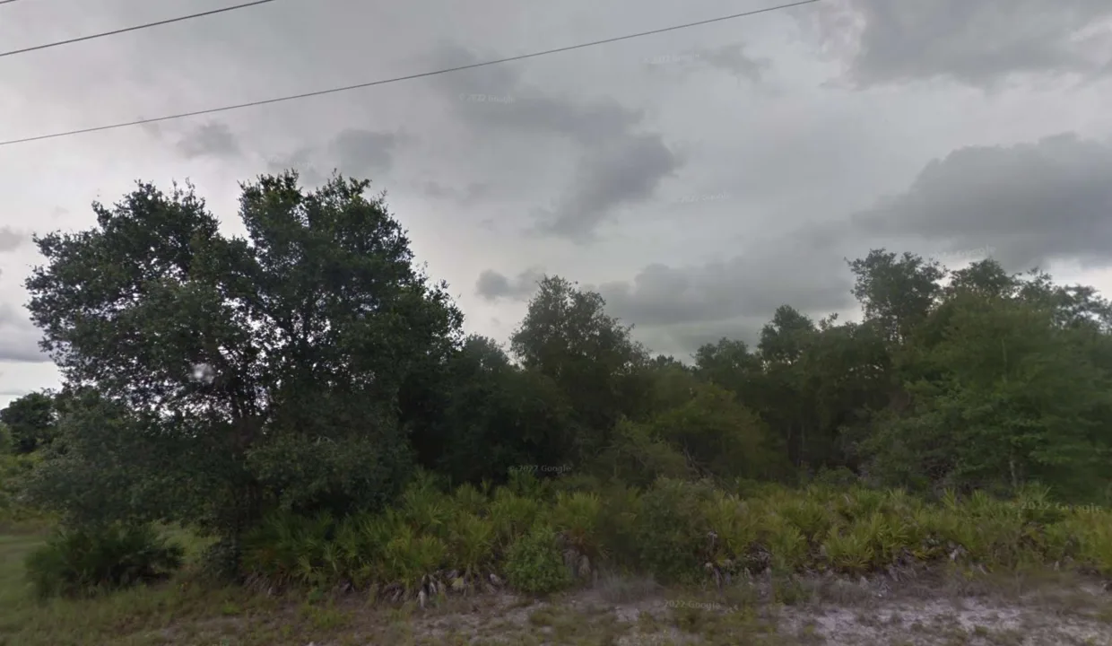 area image 4
