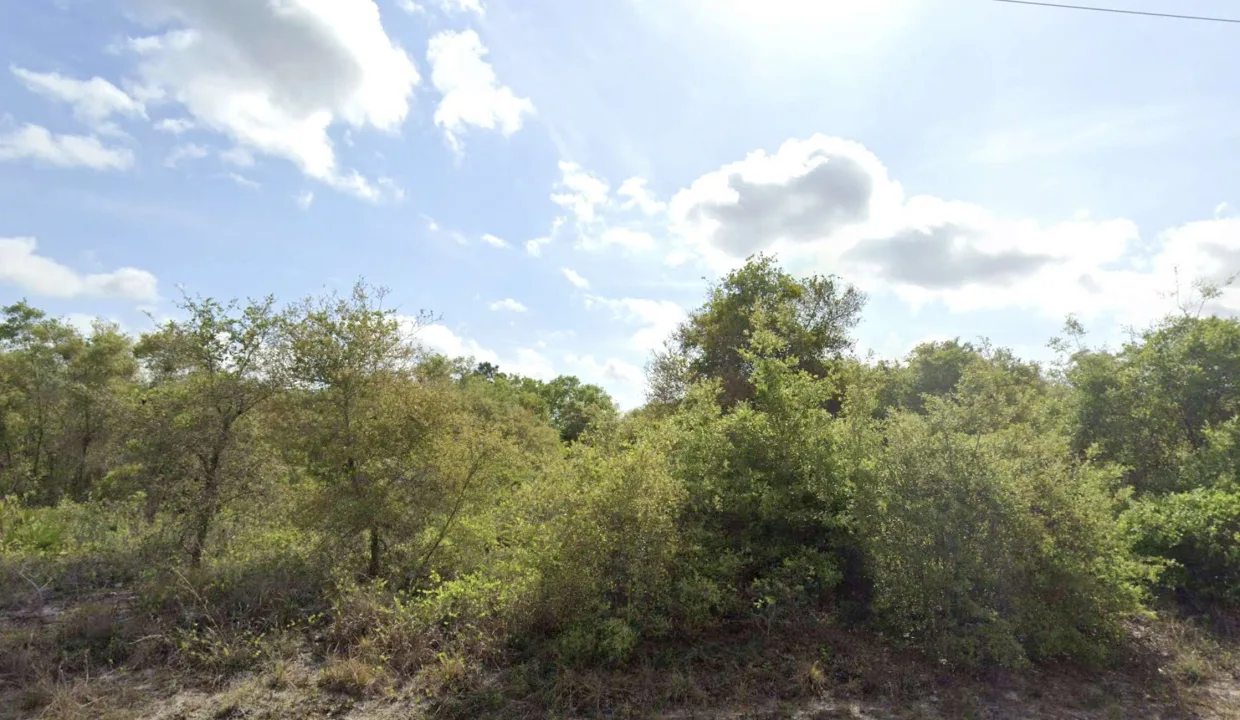 area image 6