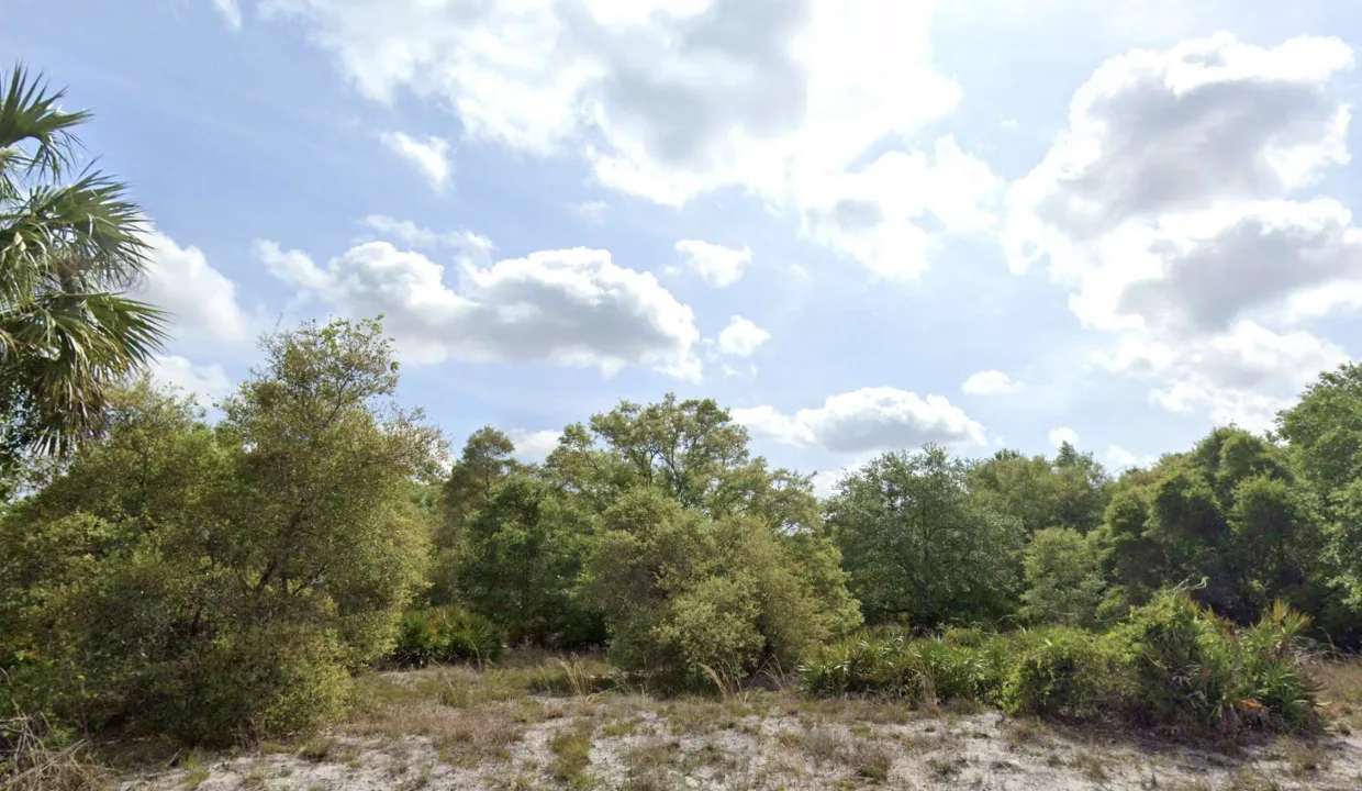 area image 7
