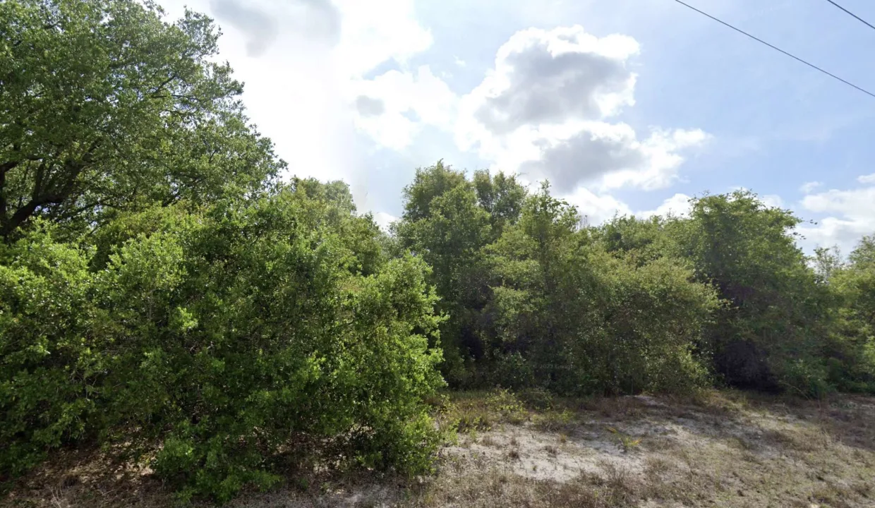 area image 8