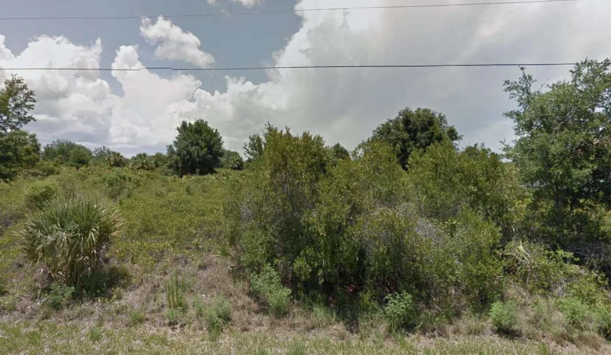 area image 9