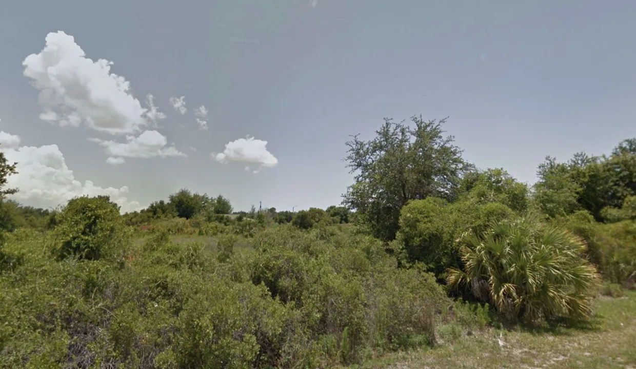 area image 10