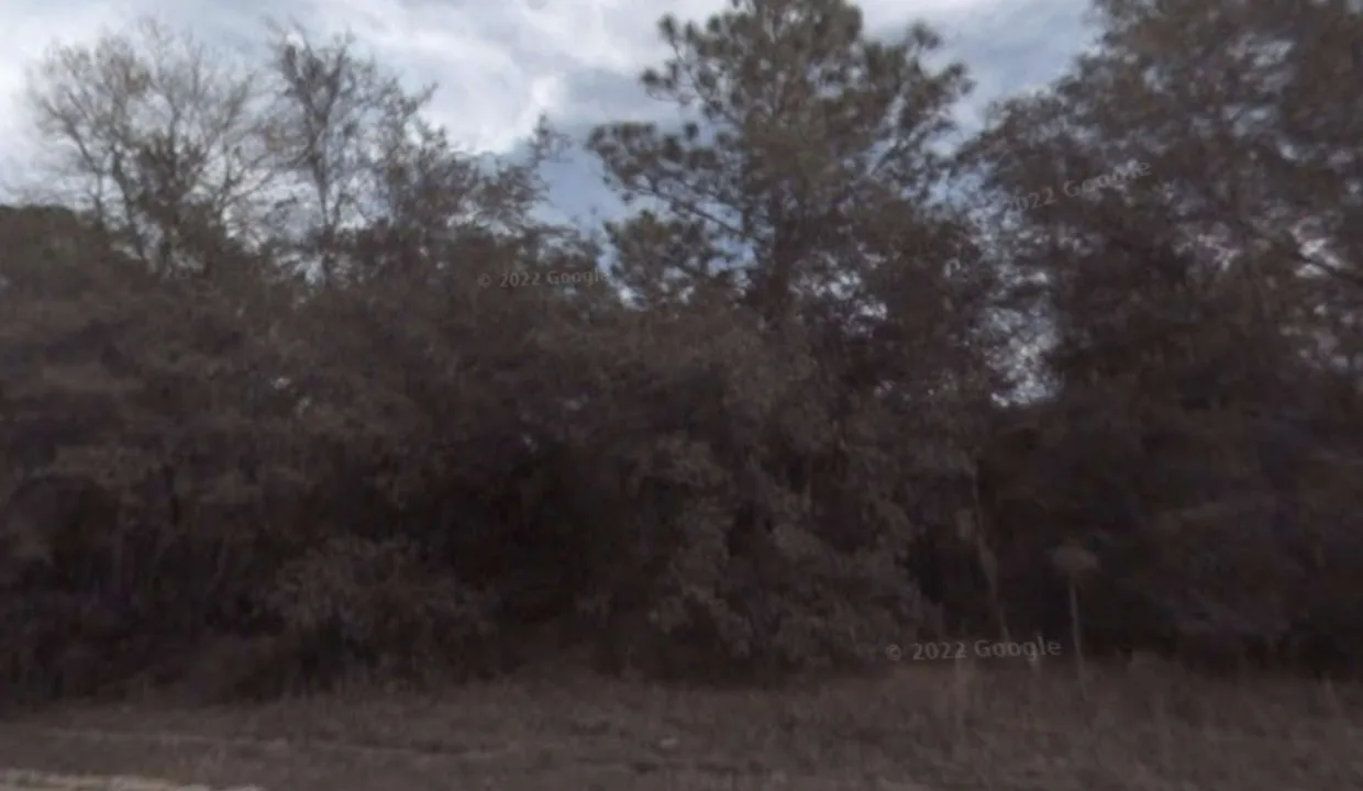 area photo 2