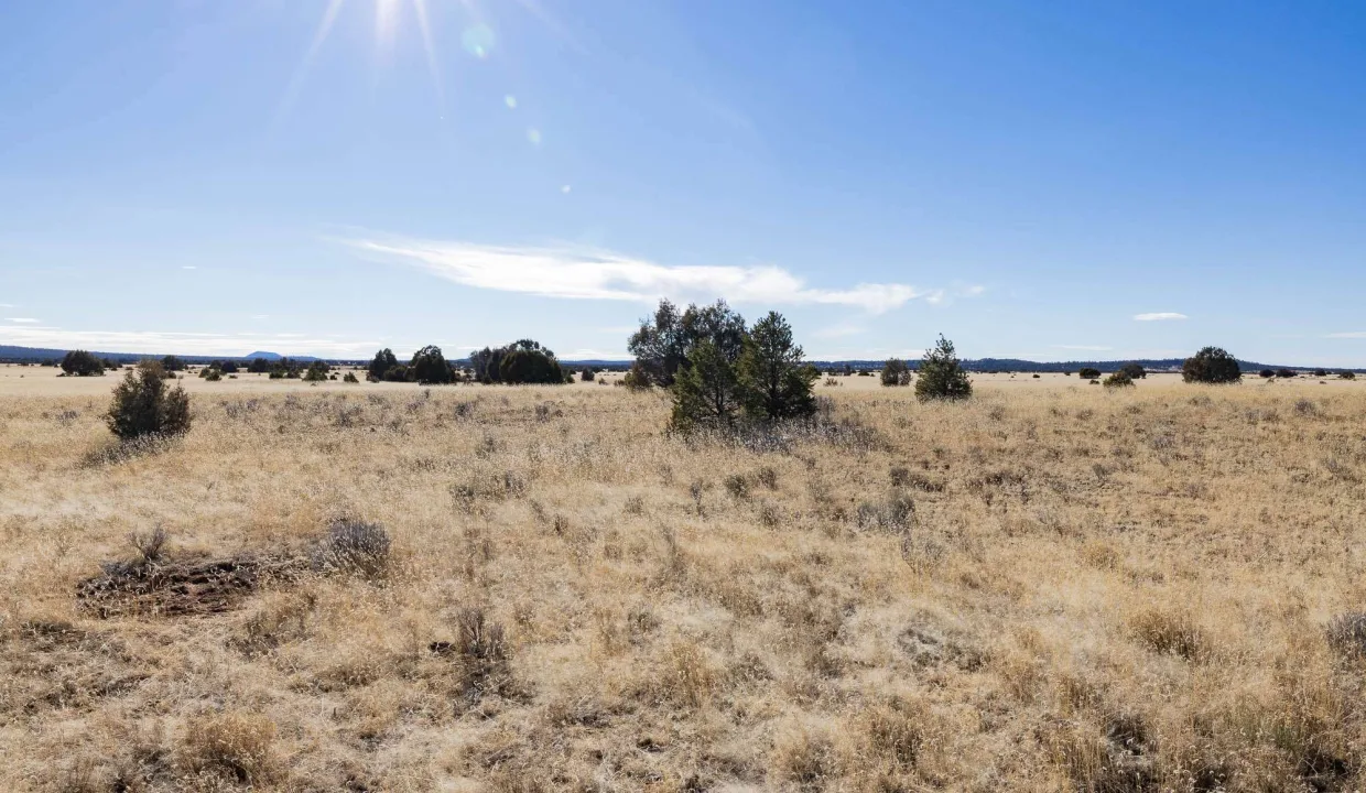 R08762-SEcorner facingSW-2