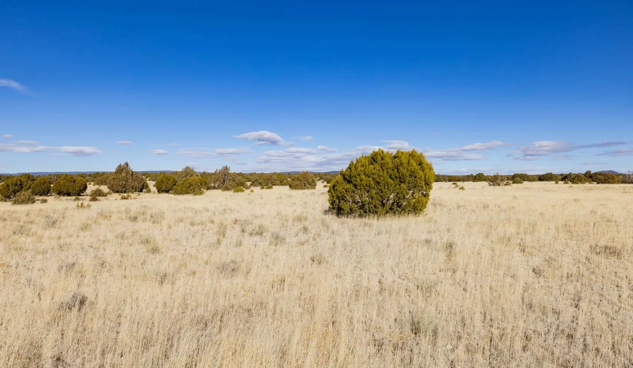 R08762-SWcorner facing NE-2