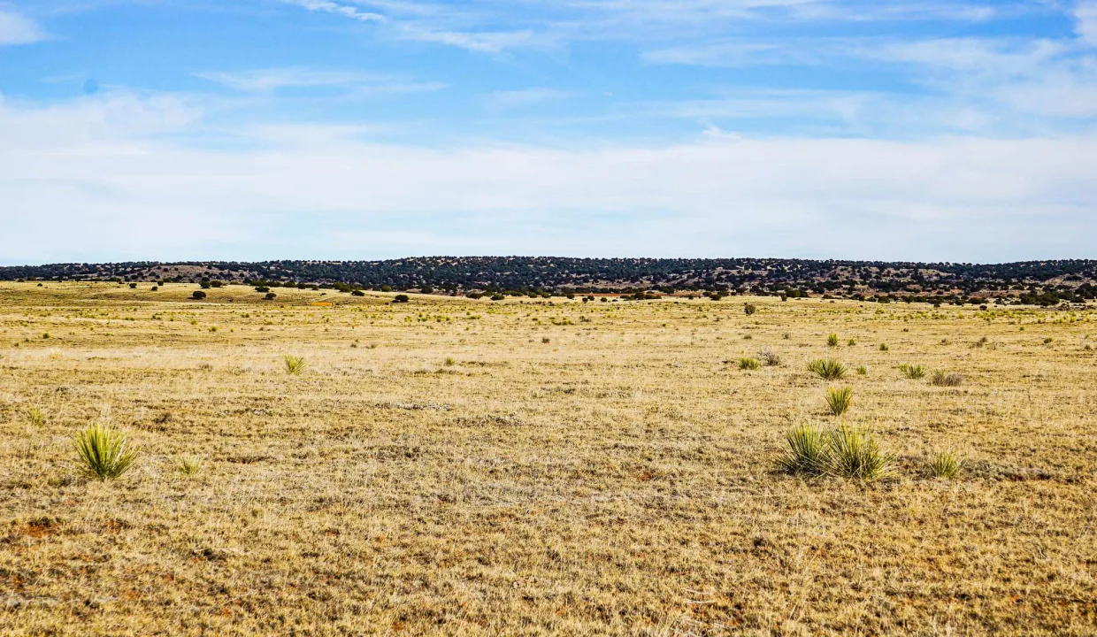 Estancia Ranchettes-areaphotos-6