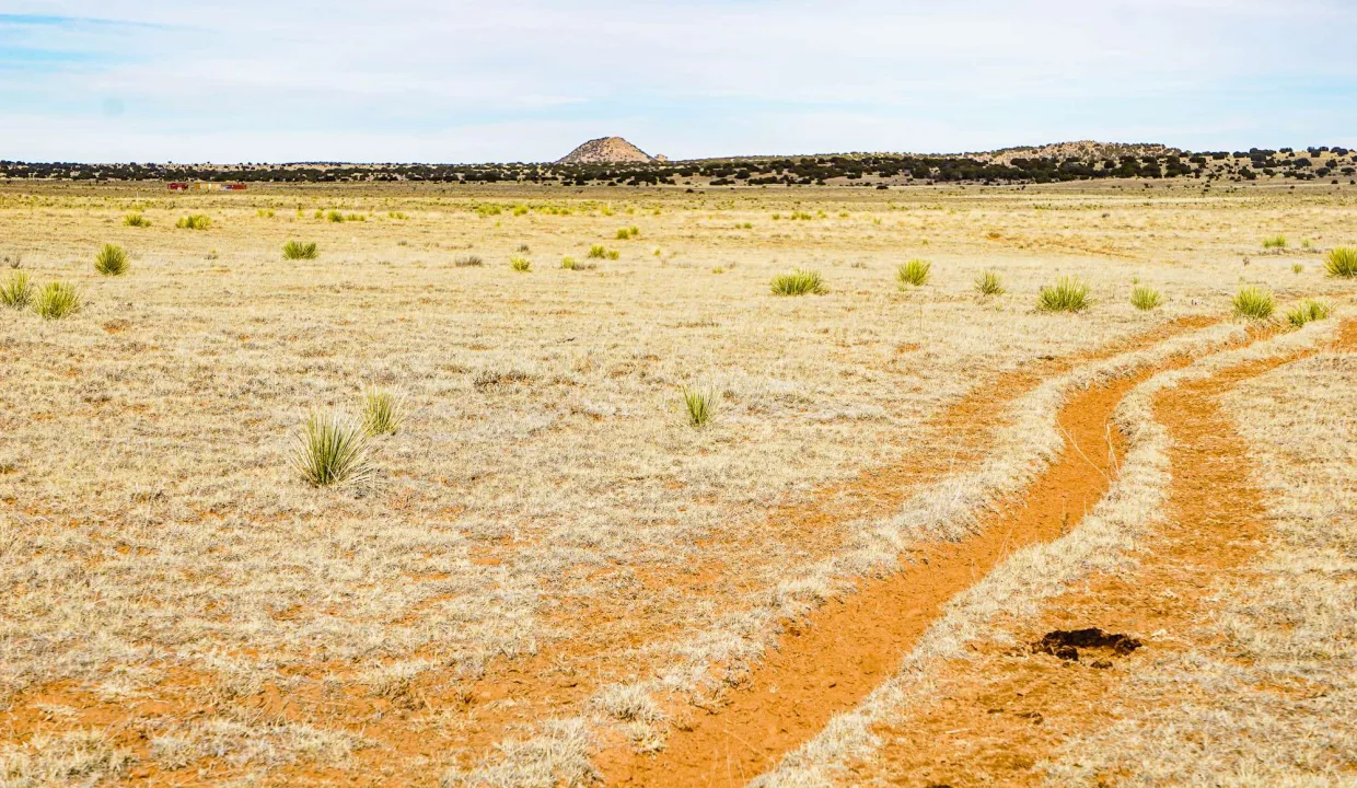 Estancia Ranchettes-areaphotos-7