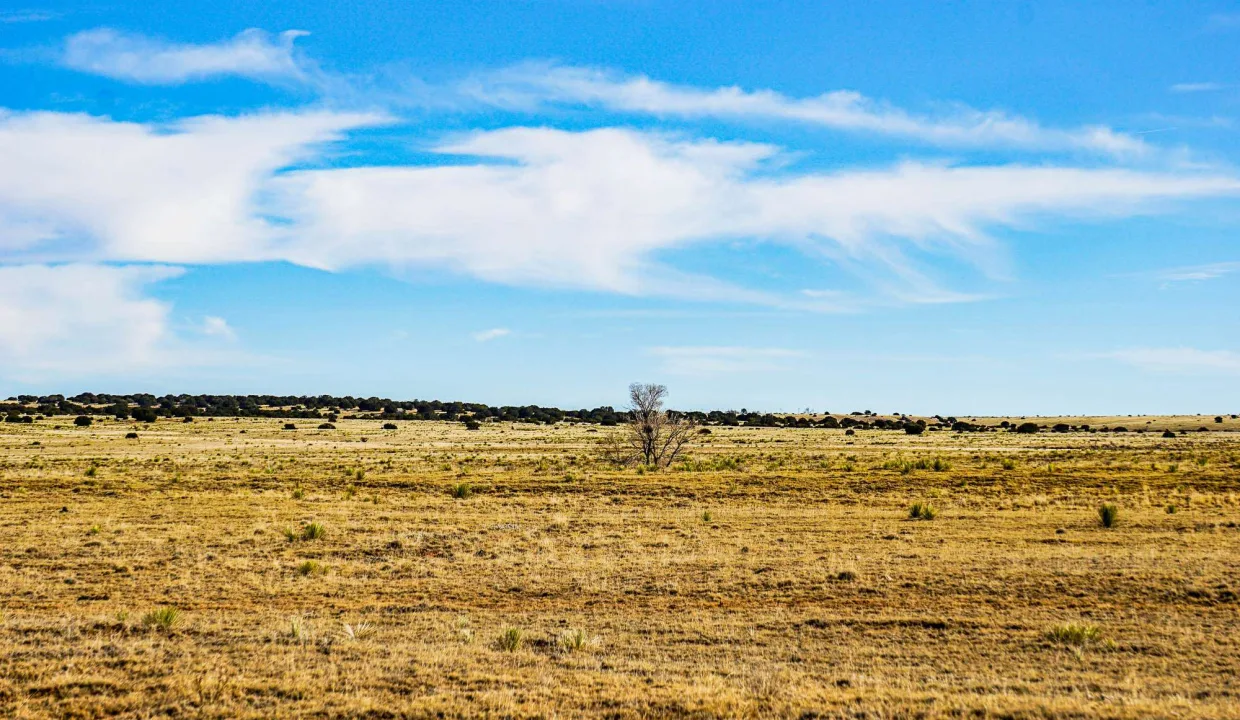 Estancia Ranchettes-areaphotos-8