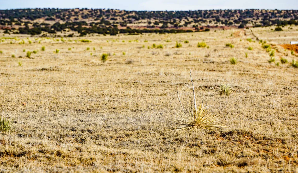 Estancia Ranchettes-areaphotos-11