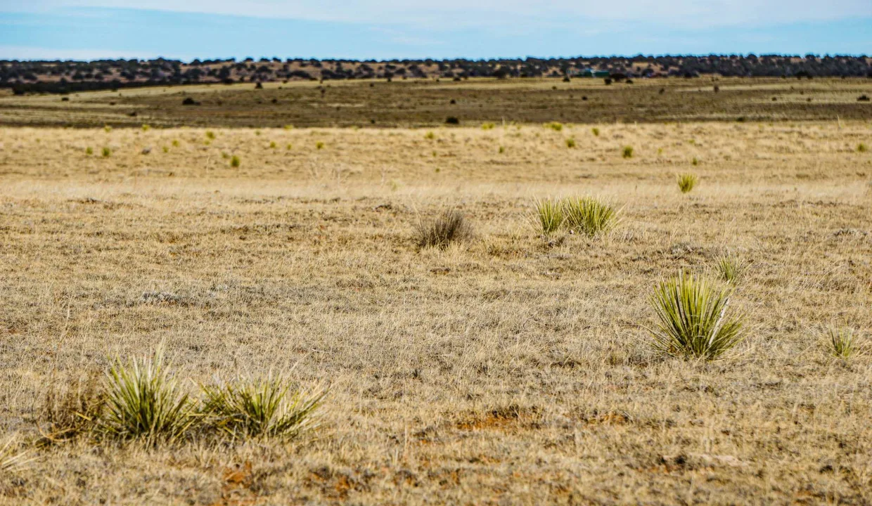 Estancia Ranchettes-areaphotos-12