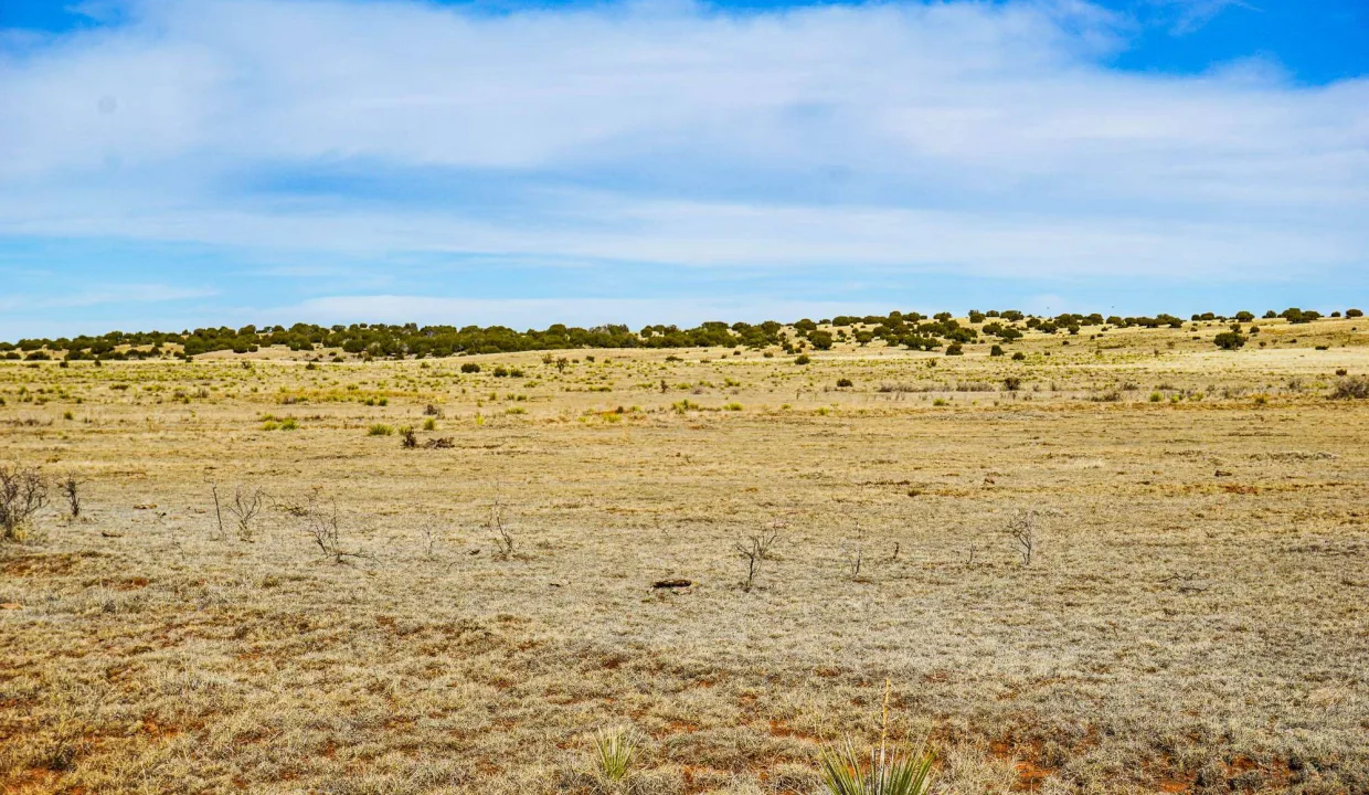 Estancia Ranchettes-areaphotos-13