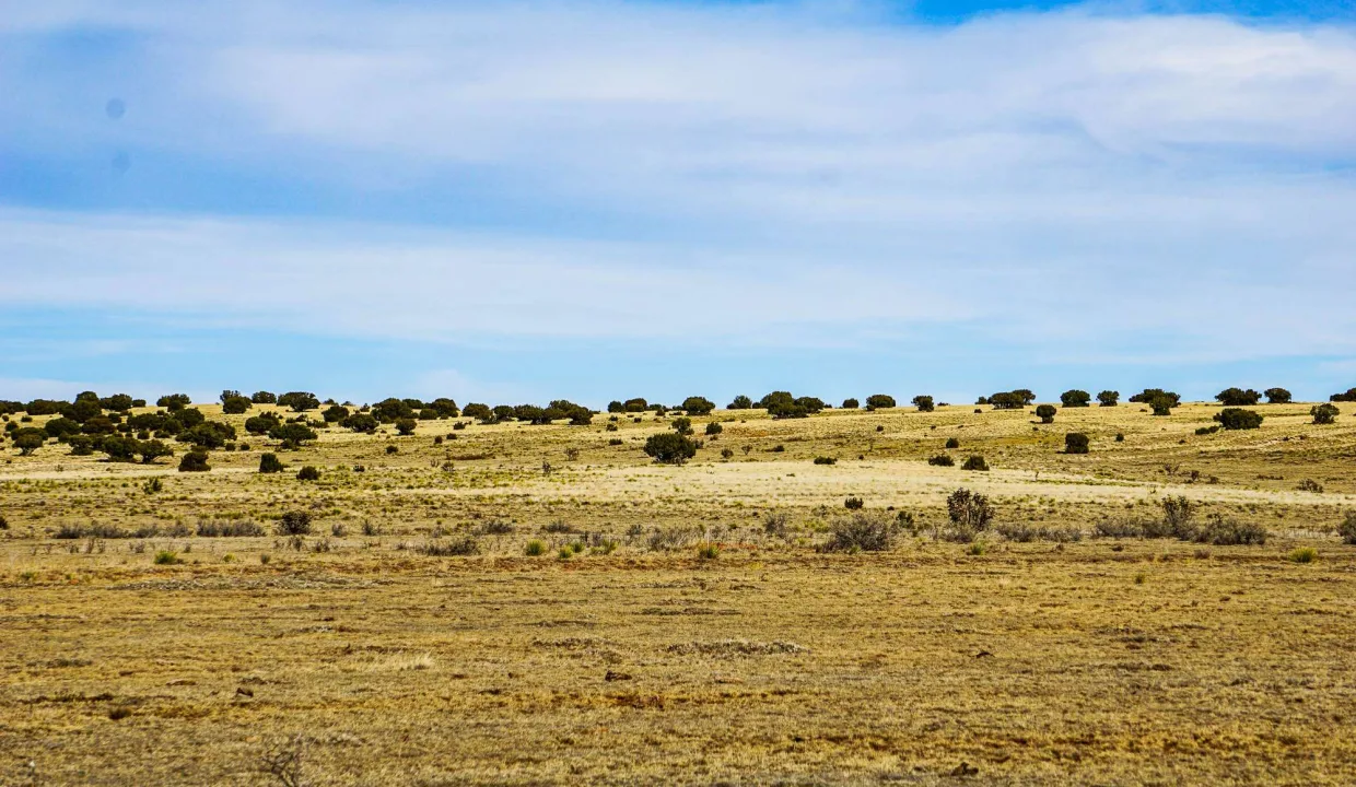 Estancia Ranchettes-areaphotos-14
