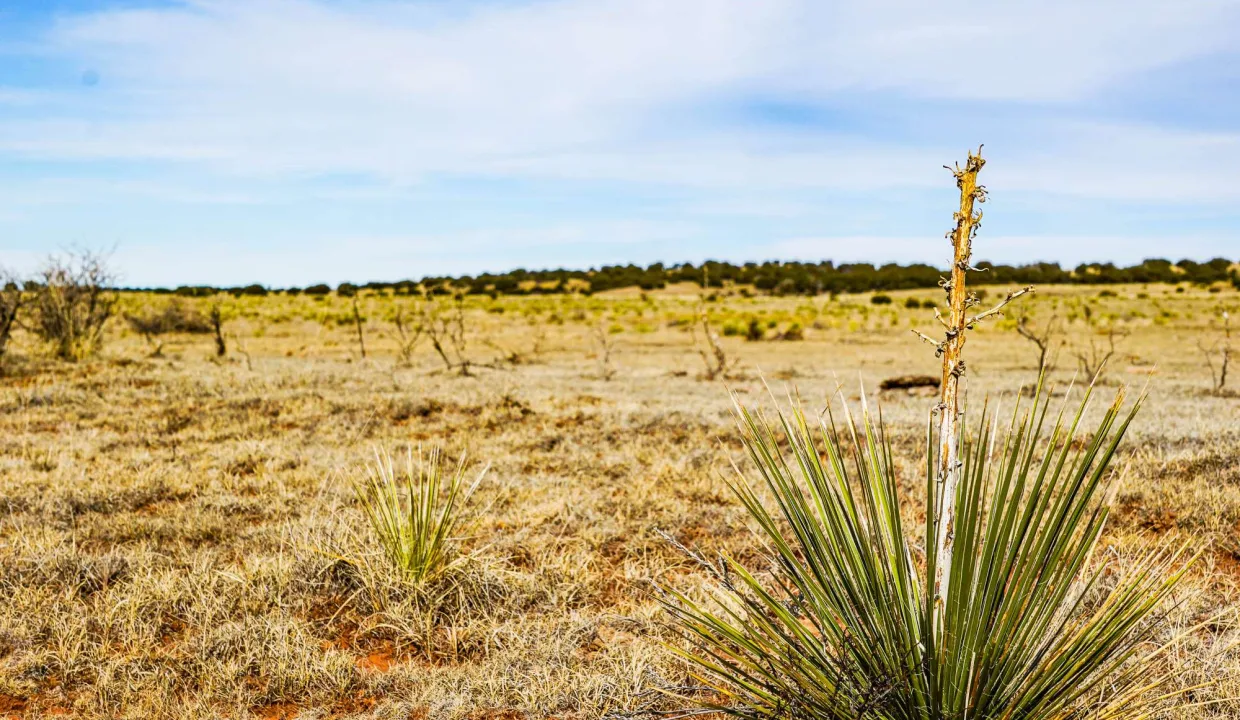 Estancia Ranchettes-areaphotos-16
