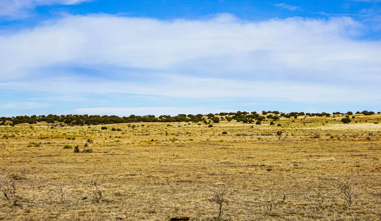 Estancia Ranchettes-areaphotos-18
