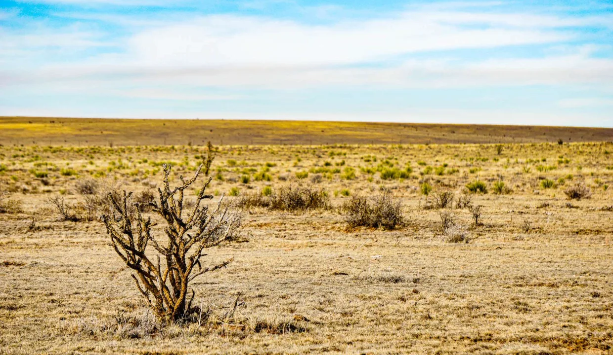 Estancia Ranchettes-areaphotos-21