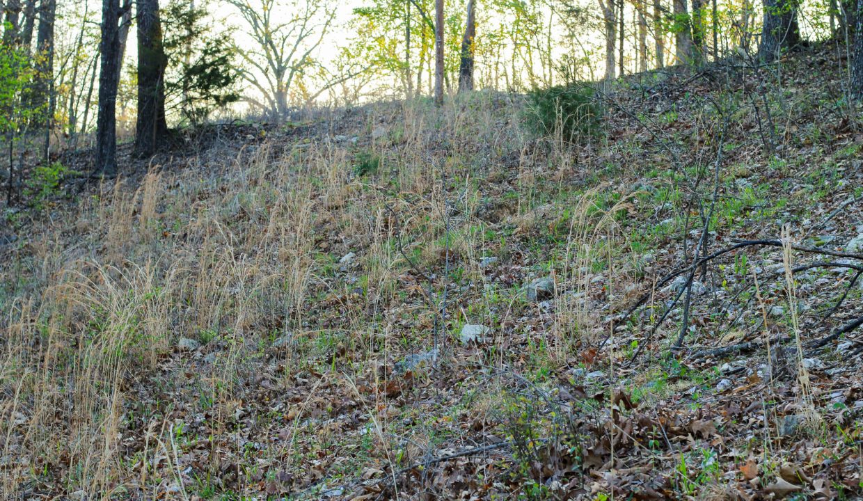 APN 504-00186-000-Slope of Property Looking SE