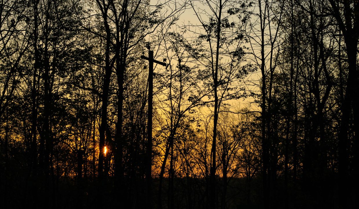 APN 504-00186-000-Sunrise Looking East