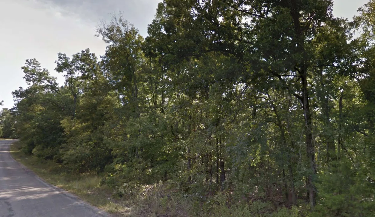 area image 2