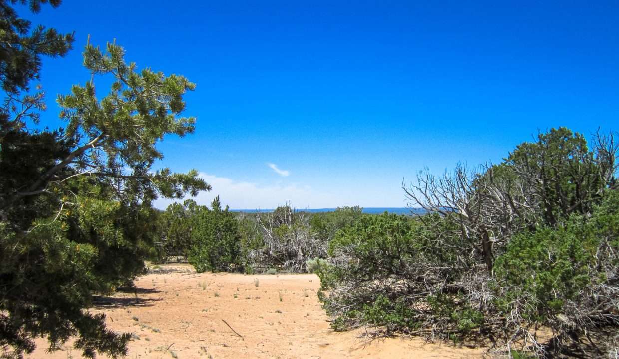 APN 205-83-127 NW view (2)