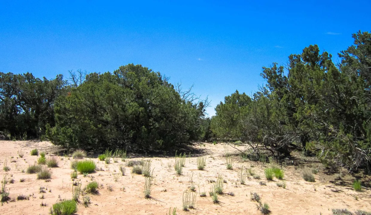 APN 205-83-127 SW view (2)