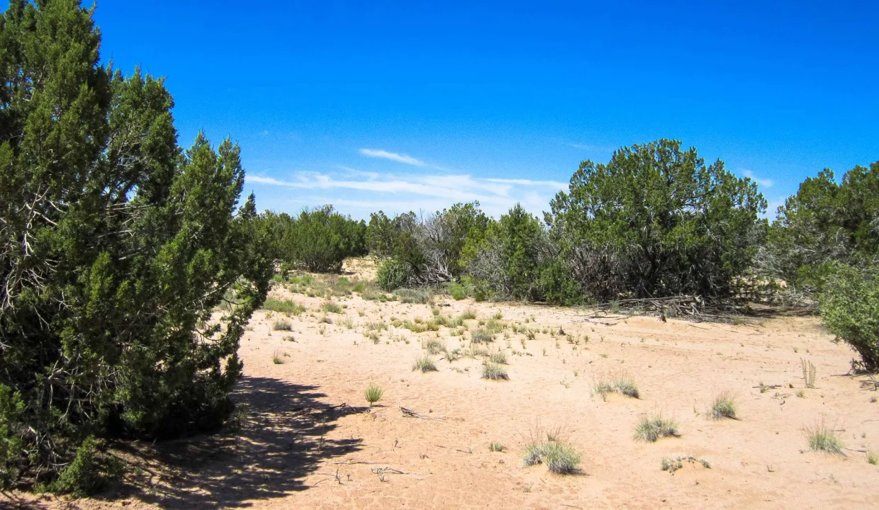 APN 205-83-127 SW view