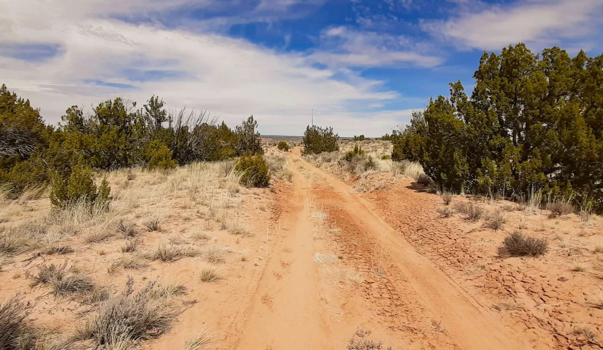 207-27-304 Access road facing north