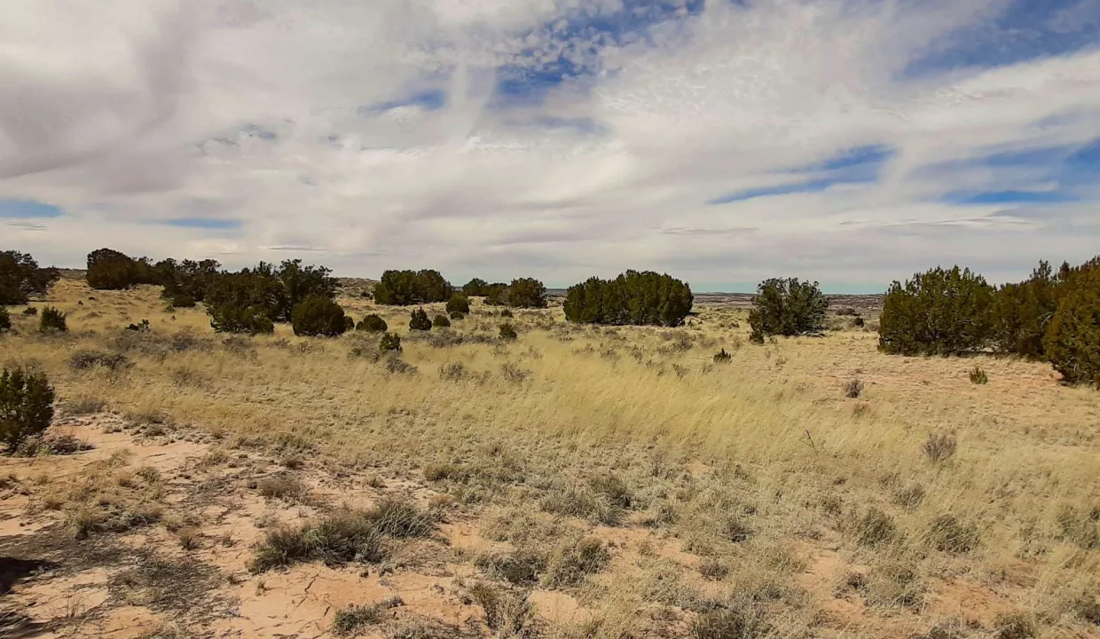 207-27-305 West view