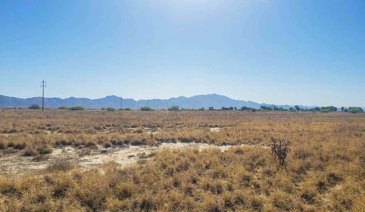 203-58-667-looking east from se corner 2