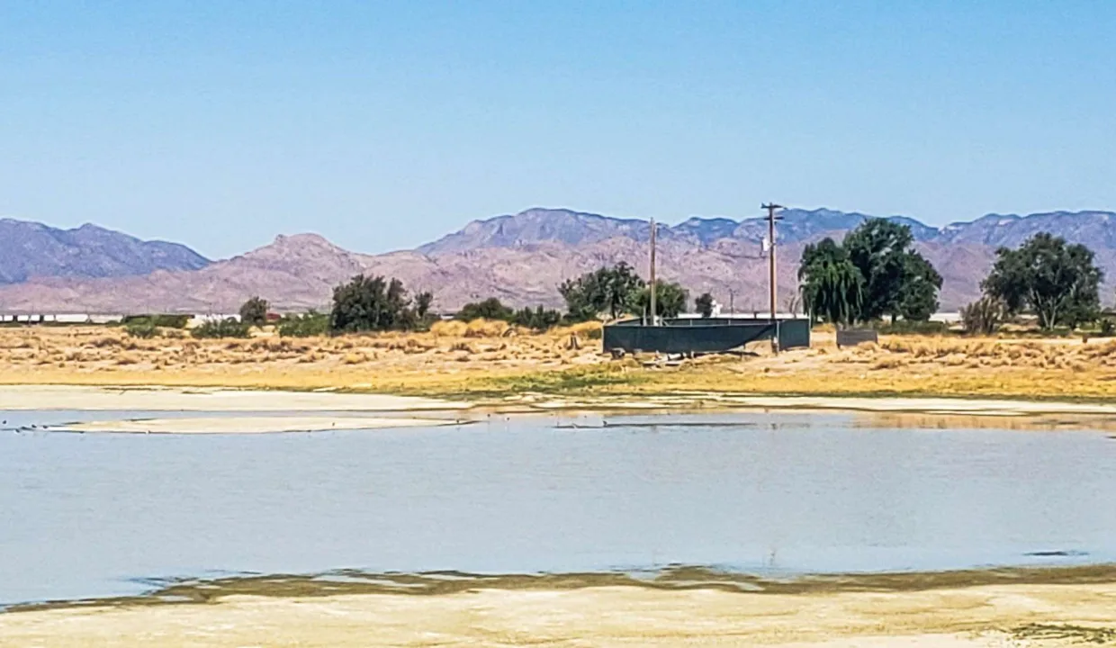 203-58-667-looking northwest from the lake