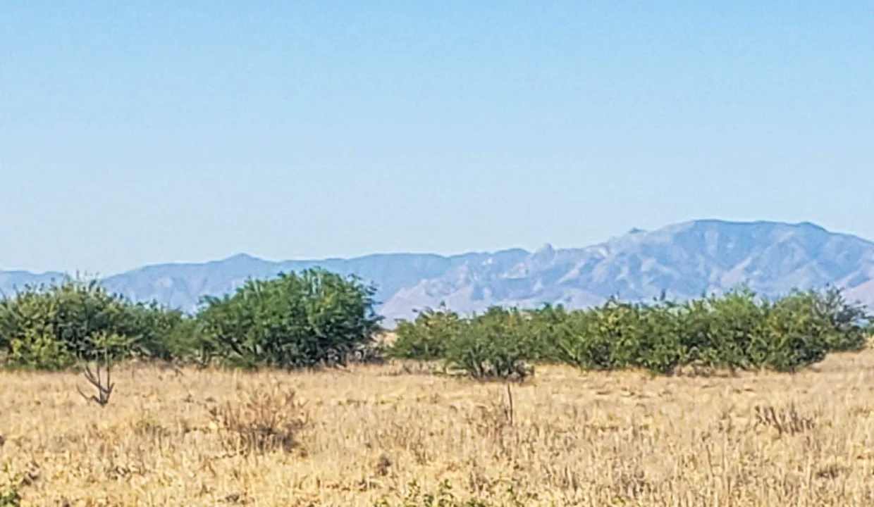 203-58-667-looking west 2