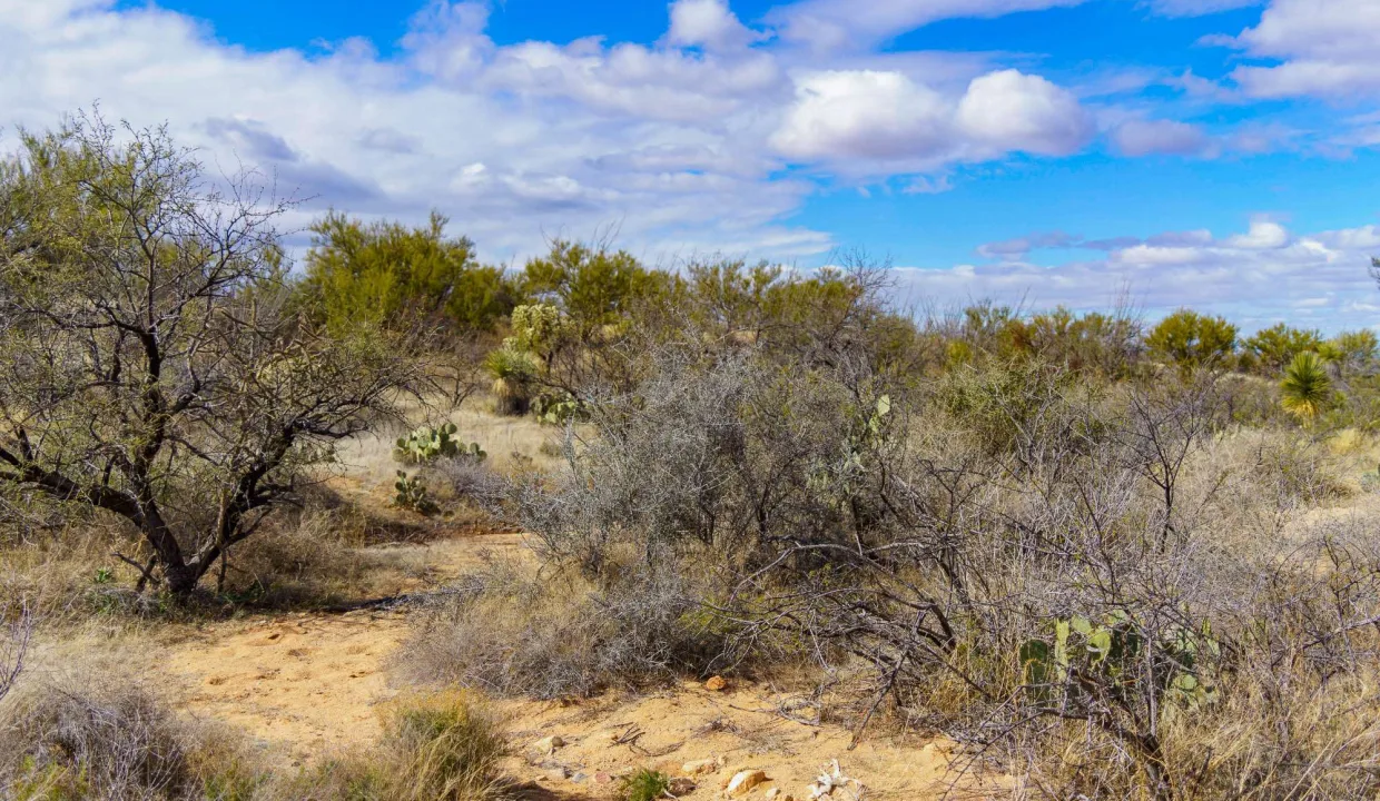 301-66-0930-terrain 2