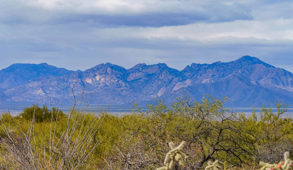 301-66-0940- mountain looking SW