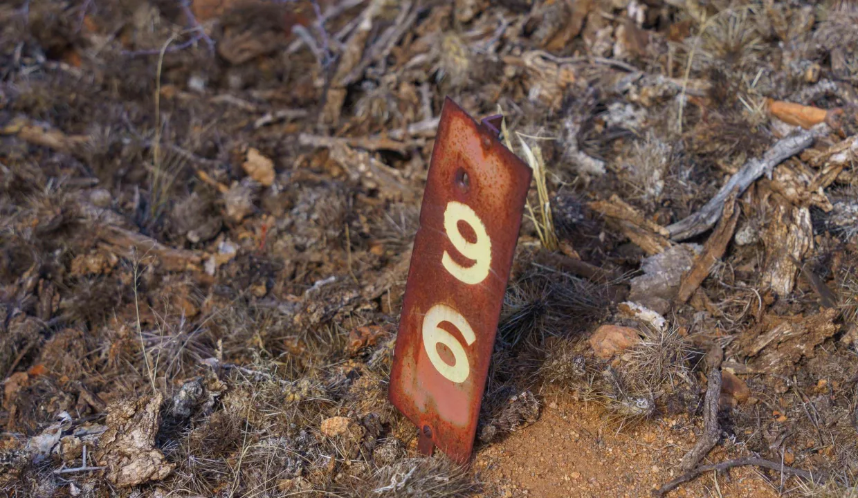 301-66-0950-lot marker at SE corner