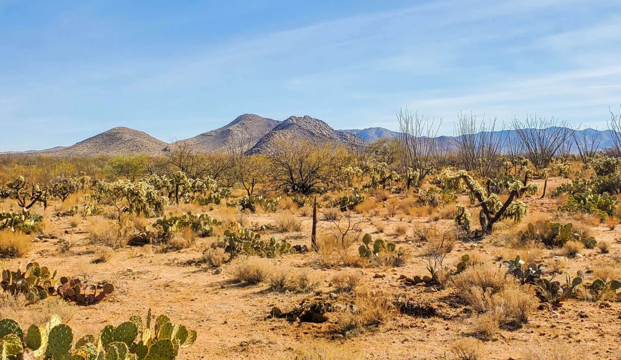 301-70-1280-Nearby Mountains to East