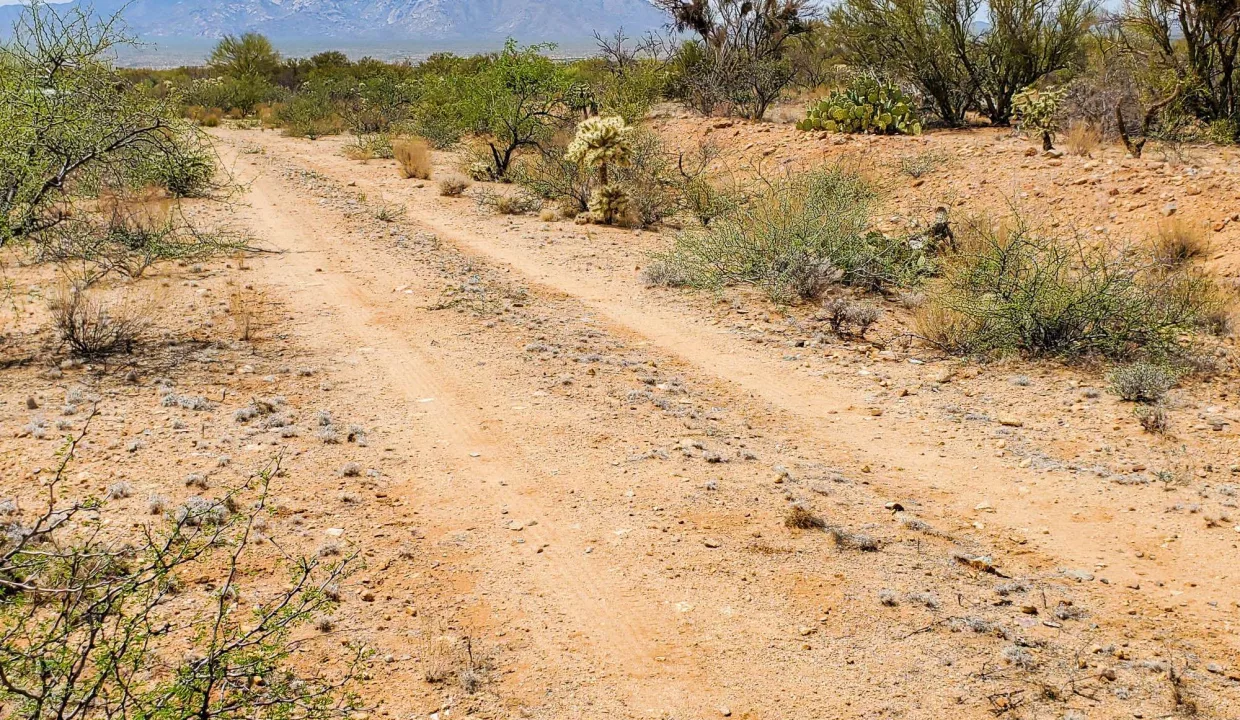 301-70-2160-Beamer Rd Looking West