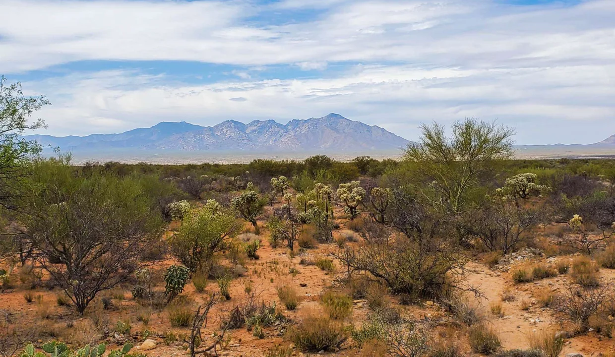 301-70-2160-Mountains West