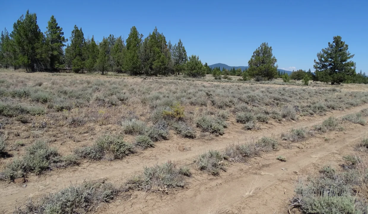 20080-283703- 1.51 Acres-1