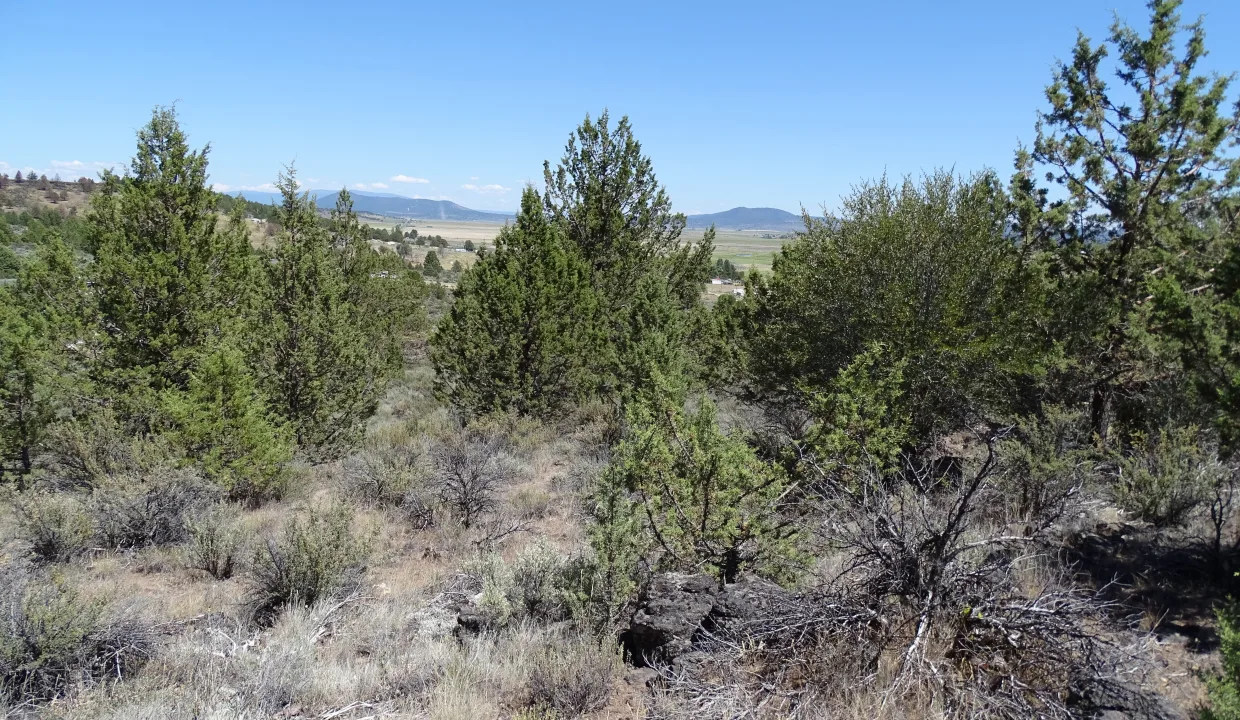 20083-349910-1.46 Acres-2