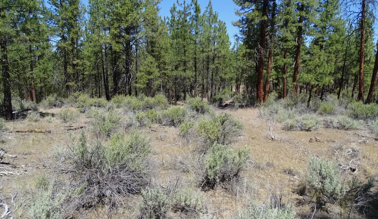 20073-269177-2.38 Acres-7