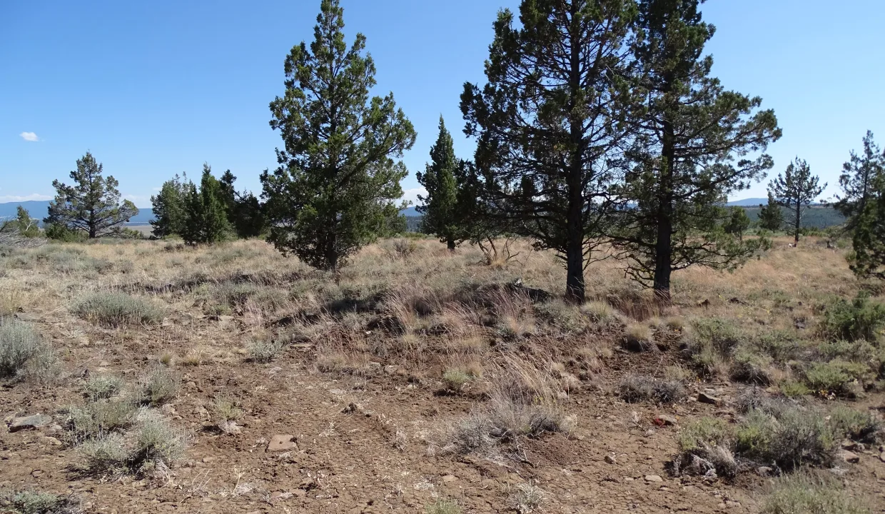20076-283883-1.58 Acres-1