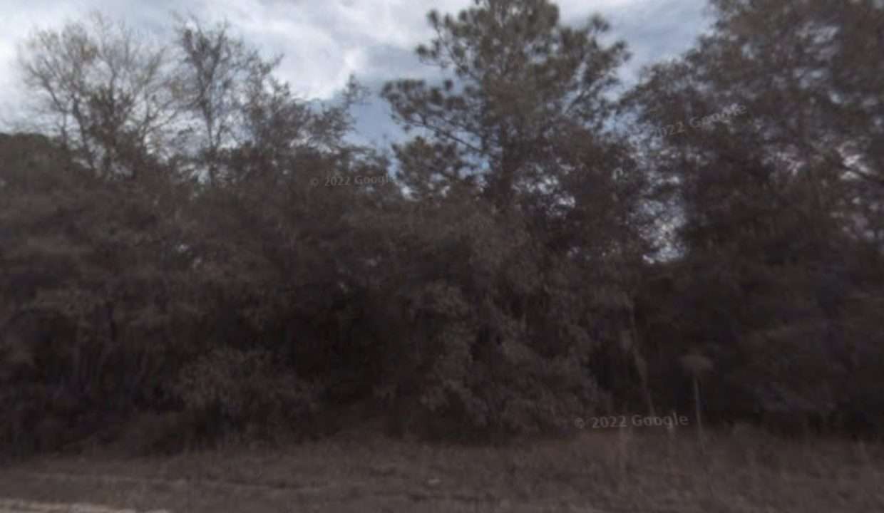 area photo 2