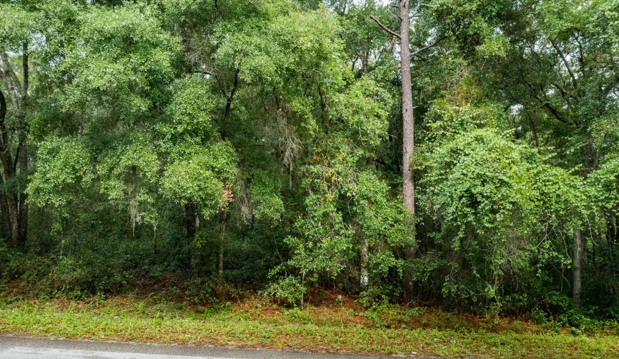 area image 1
