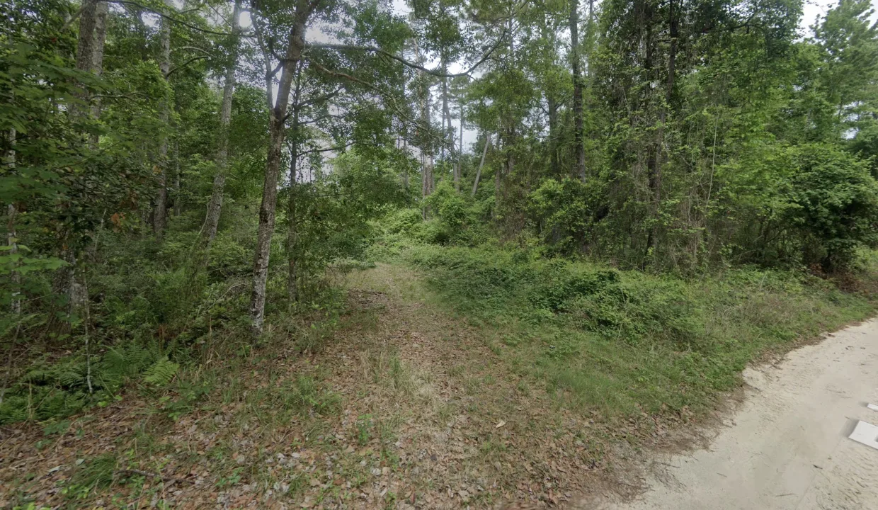 GESV-area-3